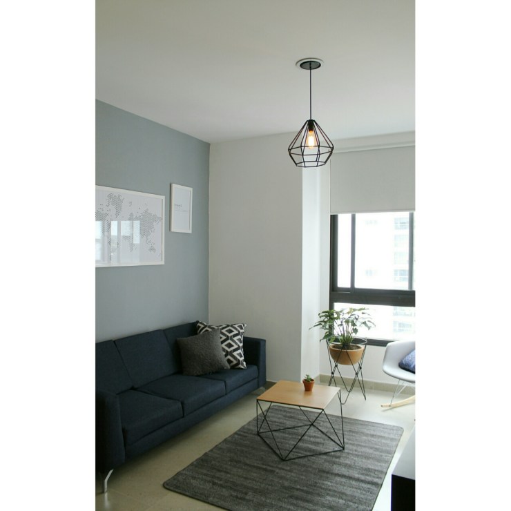 Kiwi_20170807_130936