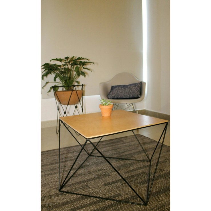 Kiwi_20170807_132643