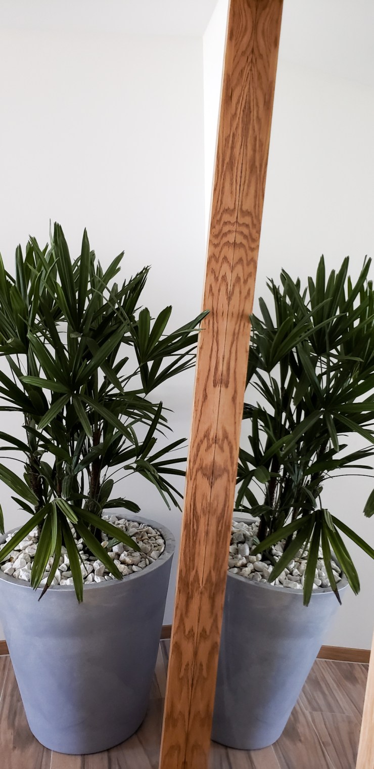 LRM_EXPORT_88664479770735_20190521_235845629